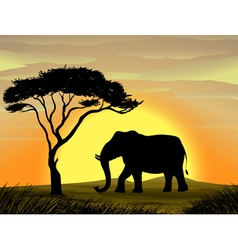Elephant under a tree vector image