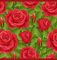 Rose pattern vector image