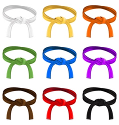 Martial art belt rank system vector image