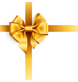 Golden bow vector image