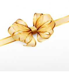 Golden bow vector image