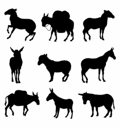 Donkeys Silhouette detailed vector image