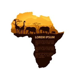 Africa travel design template vector image