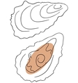 Oyster vector image