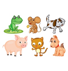 Differrent kinds of land animals vector image