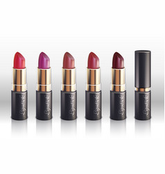 Glossy color lipstick for woman lips make up vector image
