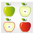 Apples vector image