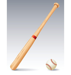 Baseball bat vector image