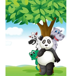 Various animals vector image
