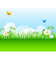 Grass backgrnd vector image