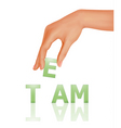 Teamwork icon vector image