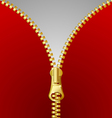 Metallic zipper vector image