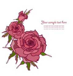 Greeting card with roses vector image