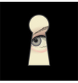 Eye and keyhole vector image