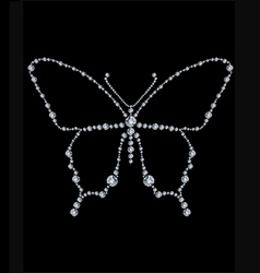 Diamond butterfly vector image