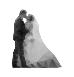 Wedding Kiss the bride and groom vector image