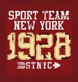 T-shirt graphics vector image