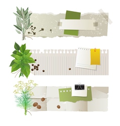 Herbal banners vector image