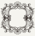 Elegant Baroque Ornate Curves Engraving Frame vector image