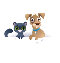 Dog and Cat above white banner vector image