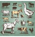 Farm animals vintage set vector image