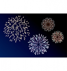 Fireworks vector image