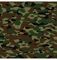 Camouflage pattern vector image