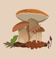 Big forest mushrooms vector image