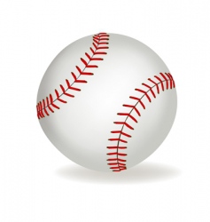 Baseball vector image