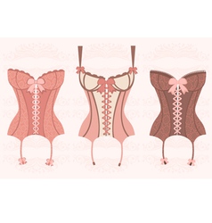 Corsets vector image