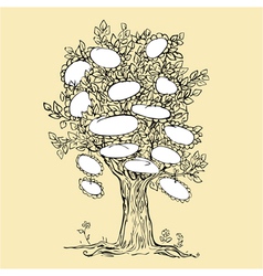 Family tree design with empty frames for text vector image