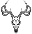 Deer Skull vector image