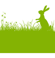 Easter bunny green background vector image