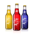 Bottles with different drinks isolated on white vector image