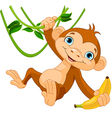 Baby monkey on a tree vector image