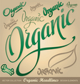 Organic hand lettering vector image