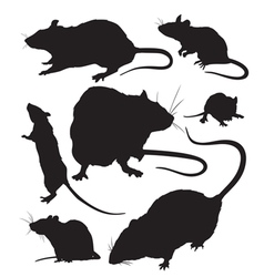 Rat silhouette vector image