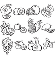Stylized fruit set on a white background vector image