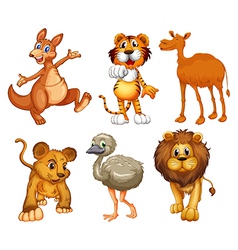 A group of wild animals vector image