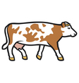 Cow Cow vector image