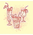 Alcohol drinks icons vector image