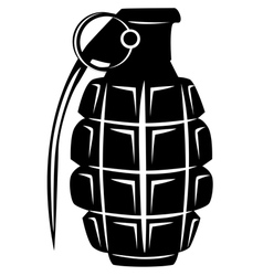 Grenade vector image