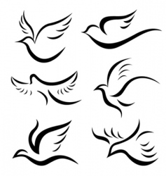 Birds vector image