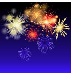 Fireworks on the sky vector image