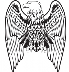 Eagle with the lowered wings vector image