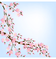 Spring background vector image