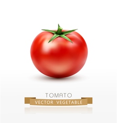 Tomato isolated on white background vector image