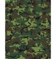 Camouflage vector image
