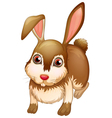 A big brown bunny vector image