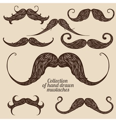Mustaches vector image